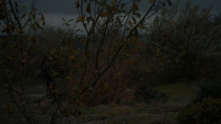 extant_GameOfThrones_7x07-TheDragonAndTheWolf_6901
