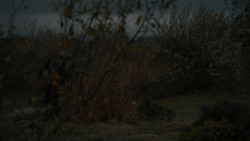 extant_GameOfThrones_7x07-TheDragonAndTheWolf_6903