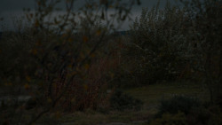 extant_GameOfThrones_7x07-TheDragonAndTheWolf_6904