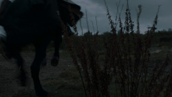 extant_GameOfThrones_7x07-TheDragonAndTheWolf_6952