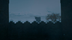 extant_GameOfThrones_7x07-TheDragonAndTheWolf_7811