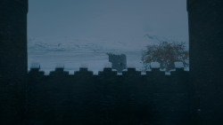 extant_GameOfThrones_7x07-TheDragonAndTheWolf_7812