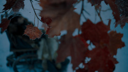 extant_GameOfThrones_7x07-TheDragonAndTheWolf_7817