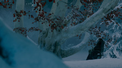 extant_GameOfThrones_7x07-TheDragonAndTheWolf_7831