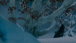 extant_GameOfThrones_7x07-TheDragonAndTheWolf_7832