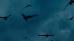 extant_GameOfThrones_7x07-TheDragonAndTheWolf_7906