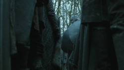 extant_GameOfThrones_8x01-Winterfell_0051