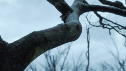 extant_GameOfThrones_8x01-Winterfell_0094