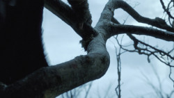 extant_GameOfThrones_8x01-Winterfell_0095