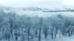 extant_GameOfThrones_8x01-Winterfell_0127