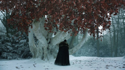 extant_GameOfThrones_8x01-Winterfell_1291