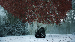 extant_GameOfThrones_8x01-Winterfell_1336