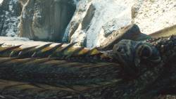 extant_GameOfThrones_8x01-Winterfell_3251
