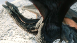 extant_GameOfThrones_8x01-Winterfell_3289