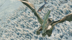 extant_GameOfThrones_8x01-Winterfell_3357