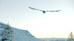 extant_GameOfThrones_8x01-Winterfell_3360