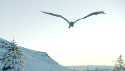 extant_GameOfThrones_8x01-Winterfell_3361