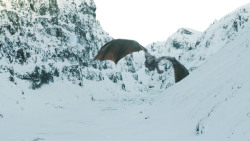 extant_GameOfThrones_8x01-Winterfell_3414