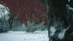 extant_GameOfThrones_8x02-AKnightOfTheSevenKingdoms_0911