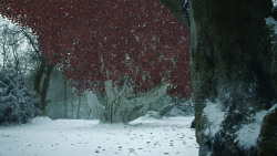 extant_GameOfThrones_8x02-AKnightOfTheSevenKingdoms_0913