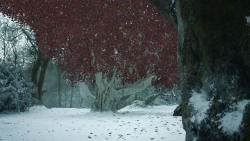 extant_GameOfThrones_8x02-AKnightOfTheSevenKingdoms_0914