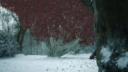 extant_GameOfThrones_8x02-AKnightOfTheSevenKingdoms_0915