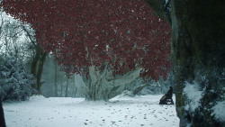 extant_GameOfThrones_8x02-AKnightOfTheSevenKingdoms_0916