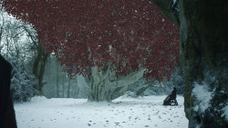 extant_GameOfThrones_8x02-AKnightOfTheSevenKingdoms_0917