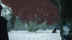 extant_GameOfThrones_8x02-AKnightOfTheSevenKingdoms_0918