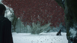extant_GameOfThrones_8x02-AKnightOfTheSevenKingdoms_0919