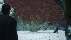 extant_GameOfThrones_8x02-AKnightOfTheSevenKingdoms_0921