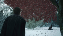 extant_GameOfThrones_8x02-AKnightOfTheSevenKingdoms_0929
