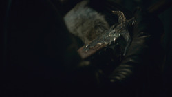 extant_GameOfThrones_8x02-AKnightOfTheSevenKingdoms_5254