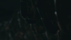 extant_GameOfThrones_8x03-TheLongNight_0422