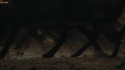 extant_GameOfThrones_8x03-TheLongNight_1066