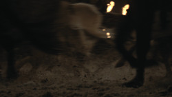 extant_GameOfThrones_8x03-TheLongNight_1067