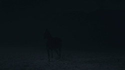 extant_GameOfThrones_8x03-TheLongNight_1304