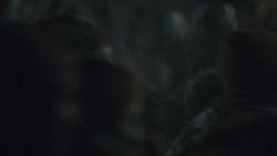 extant_GameOfThrones_8x03-TheLongNight_1548