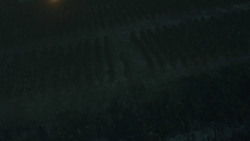 extant_GameOfThrones_8x03-TheLongNight_2325