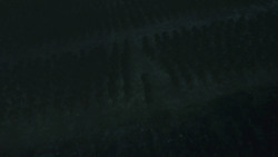 extant_GameOfThrones_8x03-TheLongNight_2326