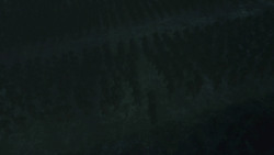 extant_GameOfThrones_8x03-TheLongNight_2327