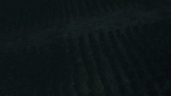 extant_GameOfThrones_8x03-TheLongNight_2328