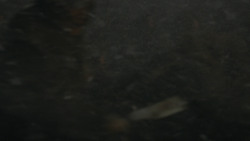 extant_GameOfThrones_8x03-TheLongNight_2454