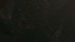 extant_GameOfThrones_8x03-TheLongNight_2469