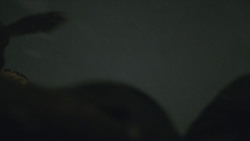 extant_GameOfThrones_8x03-TheLongNight_2653