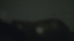 extant_GameOfThrones_8x03-TheLongNight_2654