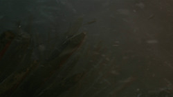 extant_GameOfThrones_8x03-TheLongNight_2705