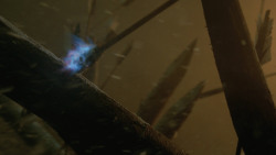 extant_GameOfThrones_8x03-TheLongNight_2710