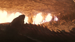 extant_GameOfThrones_8x03-TheLongNight_2981