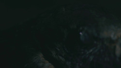 extant_GameOfThrones_8x03-TheLongNight_3440
